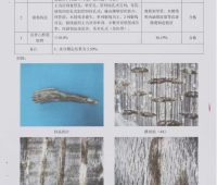 发图给人鉴定沉香靠谱吗？新手选购沉香优先看品牌四个硬指标 